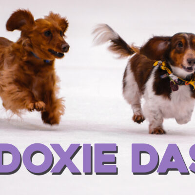 FB_EventCover_DoxieDash FB_EventCover_DoxieDash