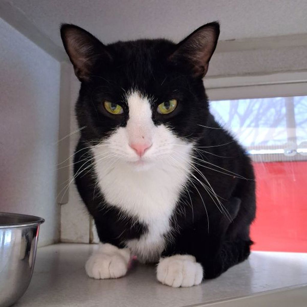 Morty -- Bonded Buddy With Rick