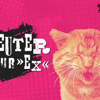 Neuter Your Ex__Web Neuter Your Ex__Web