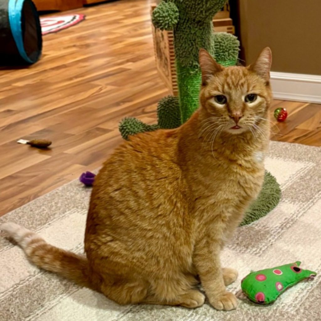 Penny -- Bonded Buddy With Cindy