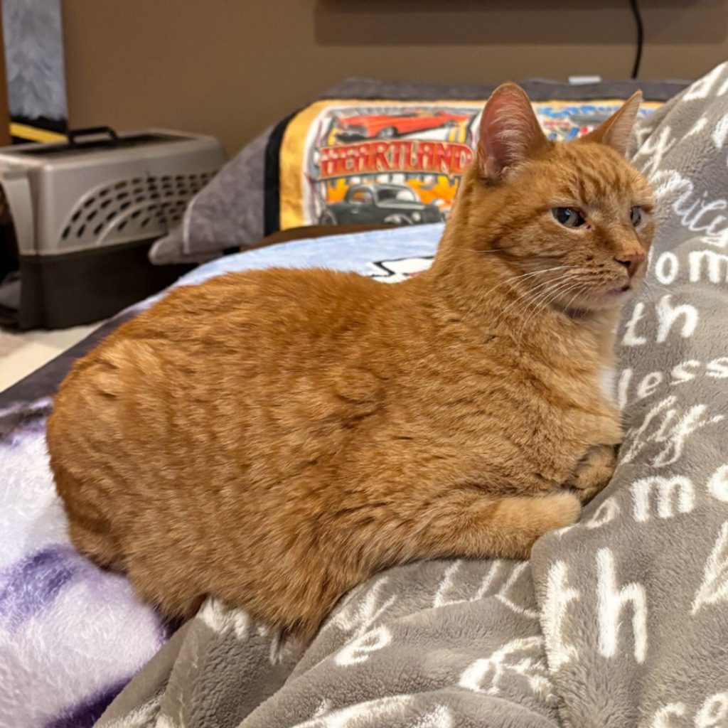 Penny -- Bonded Buddy With Cindy