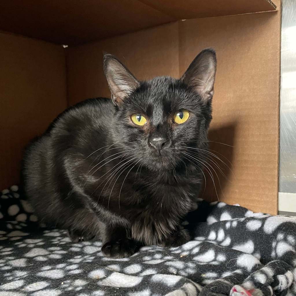 Sister -- Bonded Buddies With Sabrina