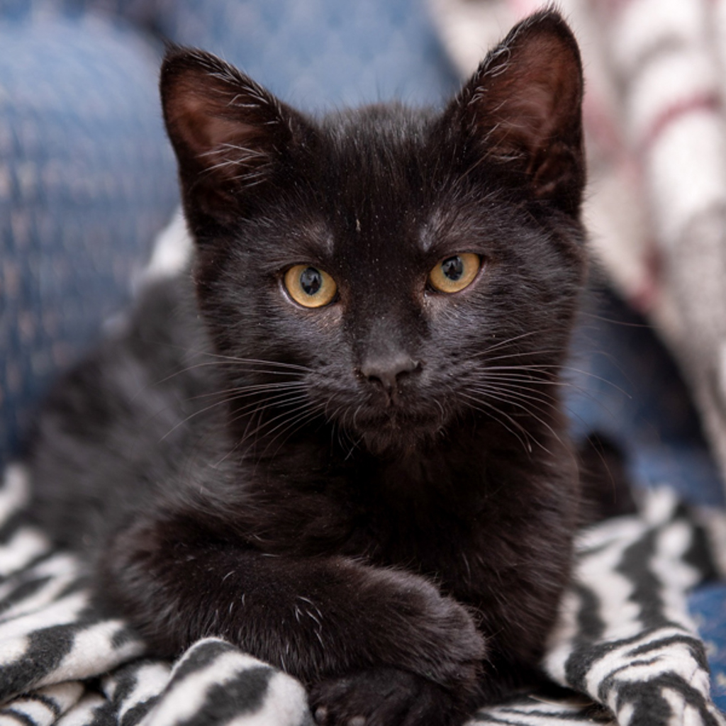 Stockington -- Bonded Buddy With Cole