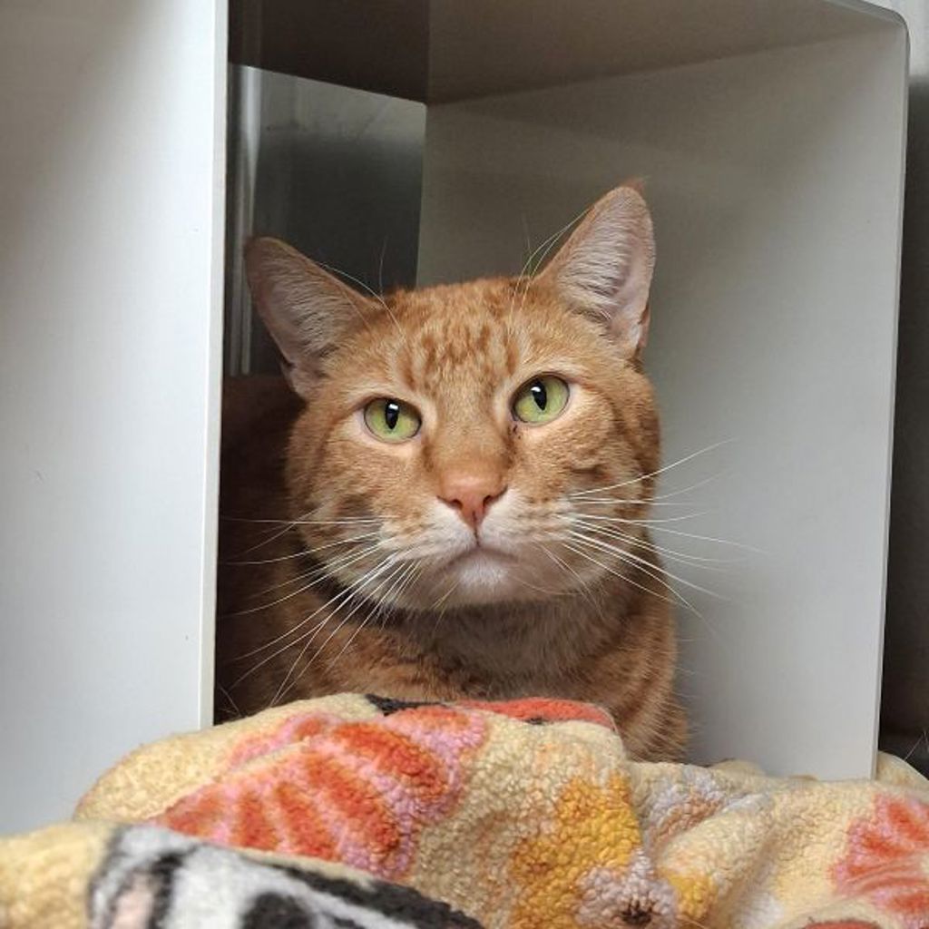 Walter -- Bonded Buddy With Russell