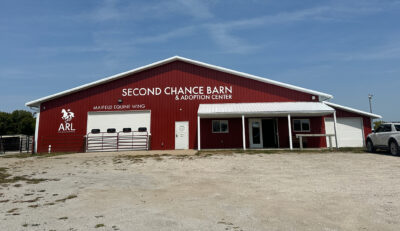 Year of the horse 2026 barn