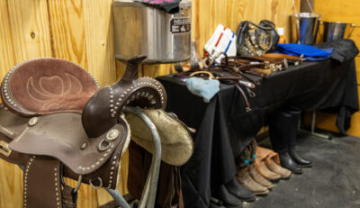 Year of the horse 2026