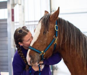 Year of the horse 2026