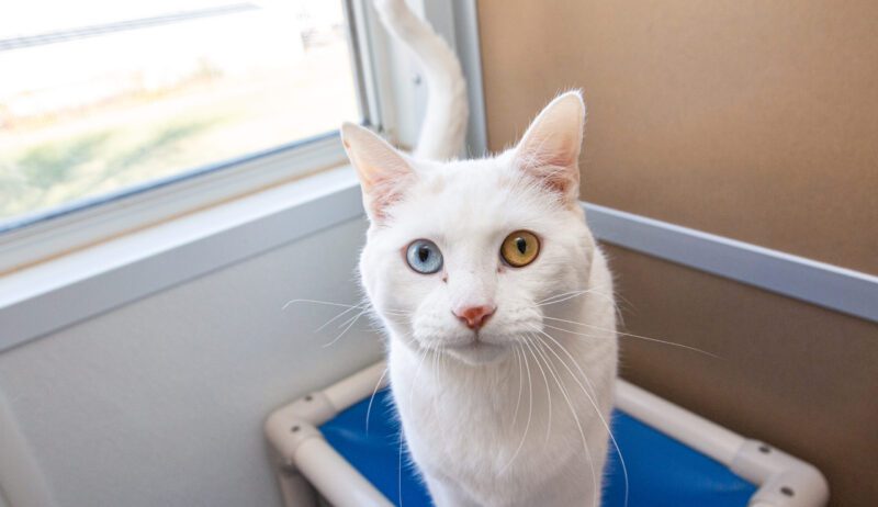 benito 257061 (5) benito 257061 (5)