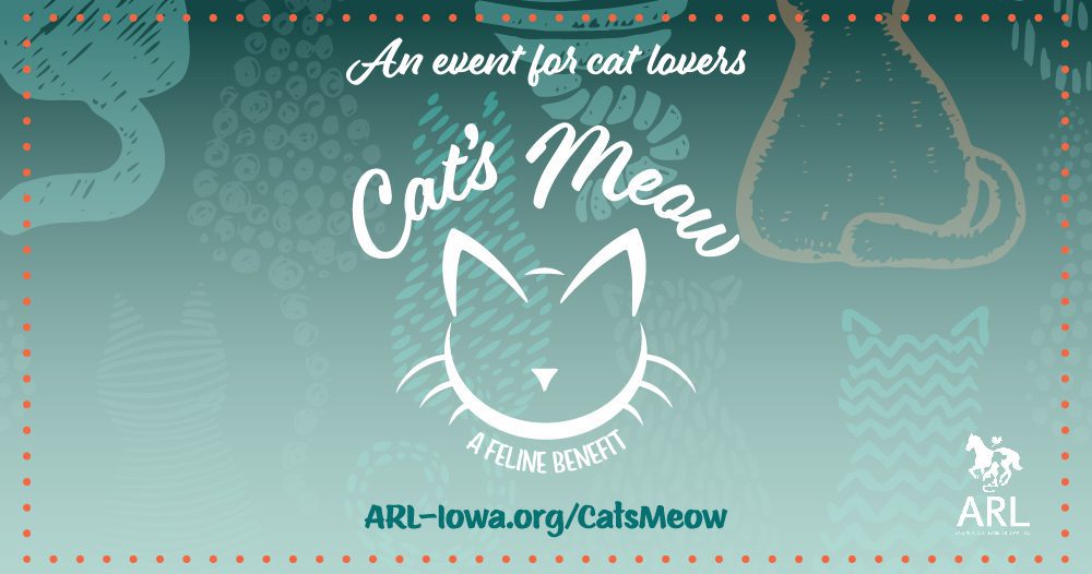 CatsMeow_facebookcover