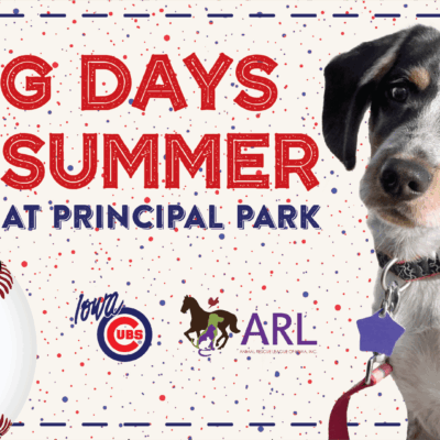 Dog days of summer at Principal Park
