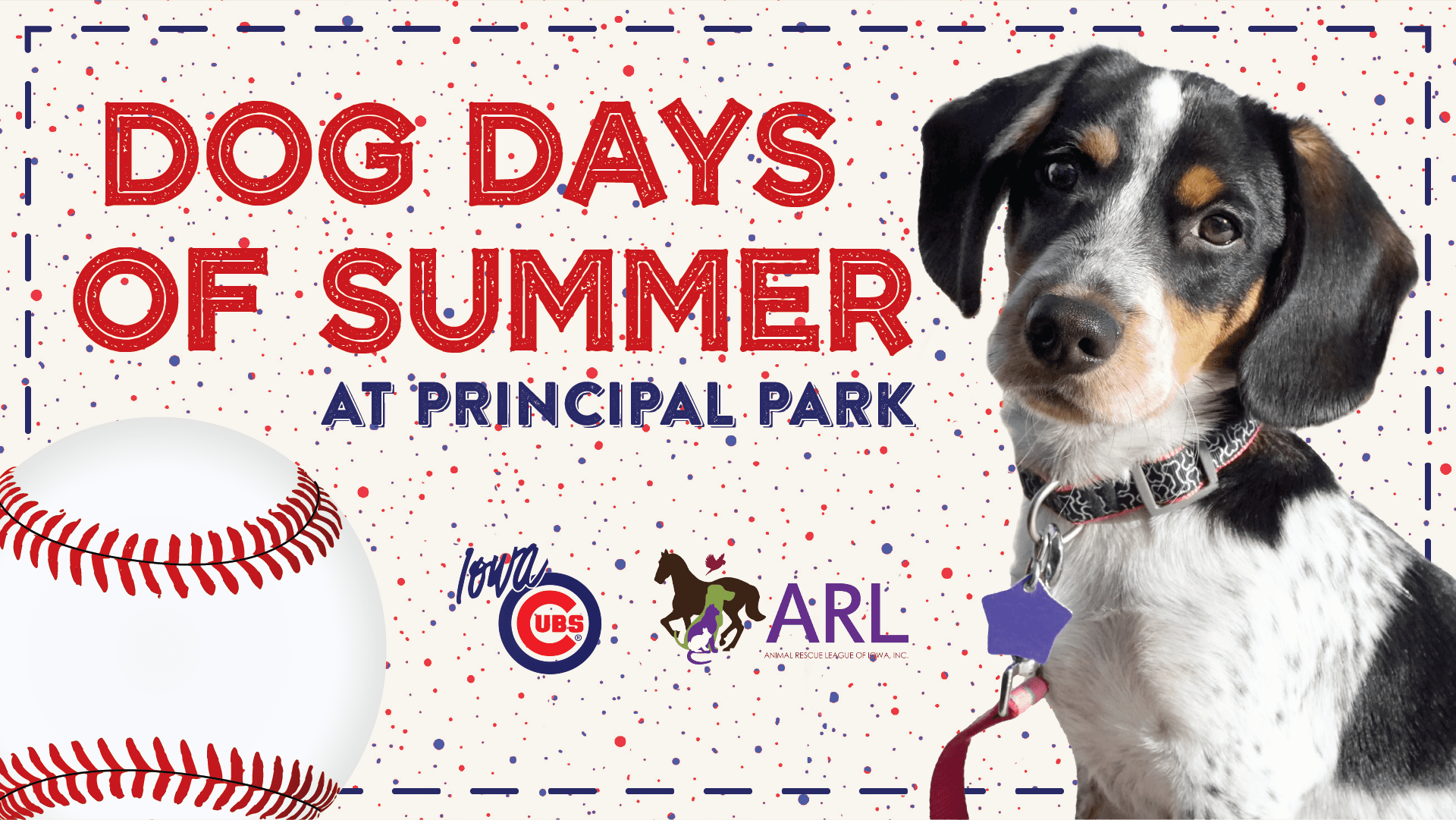 Dog days of summer at Principal Park