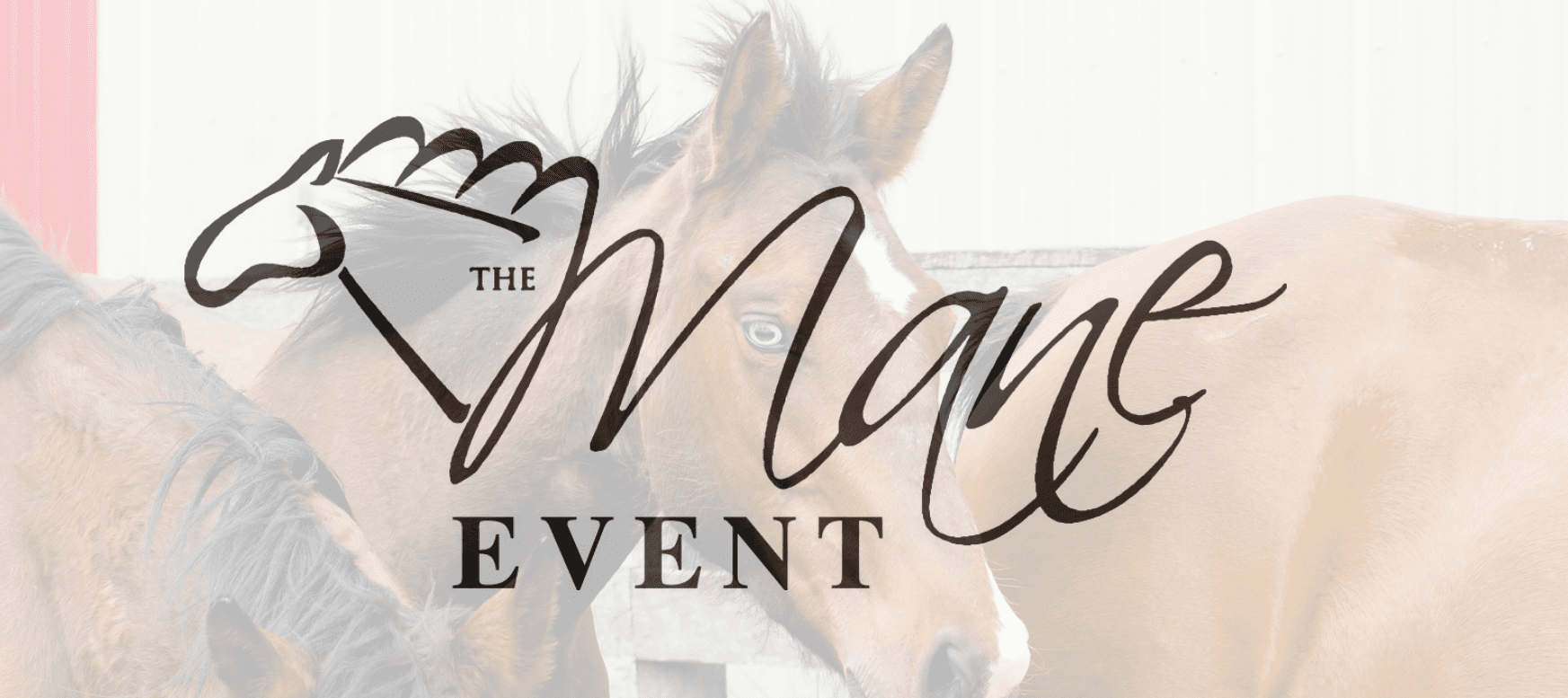 The Mane Event Horse event
