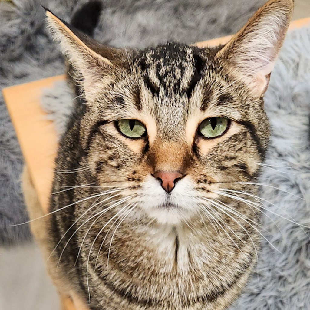 Max -- Bonded Buddy With Sparrow