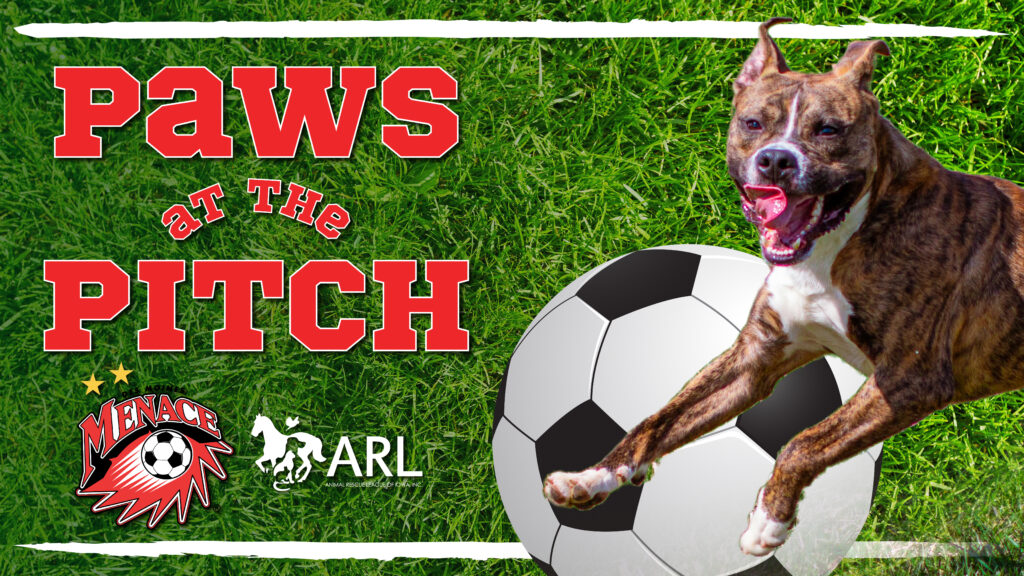 Paws at the Pitch
