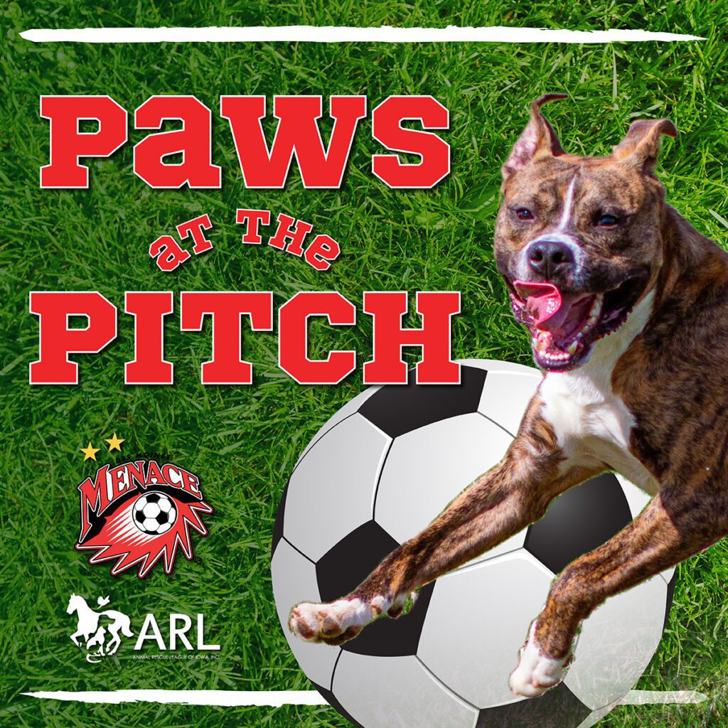 Paws at the Pitch