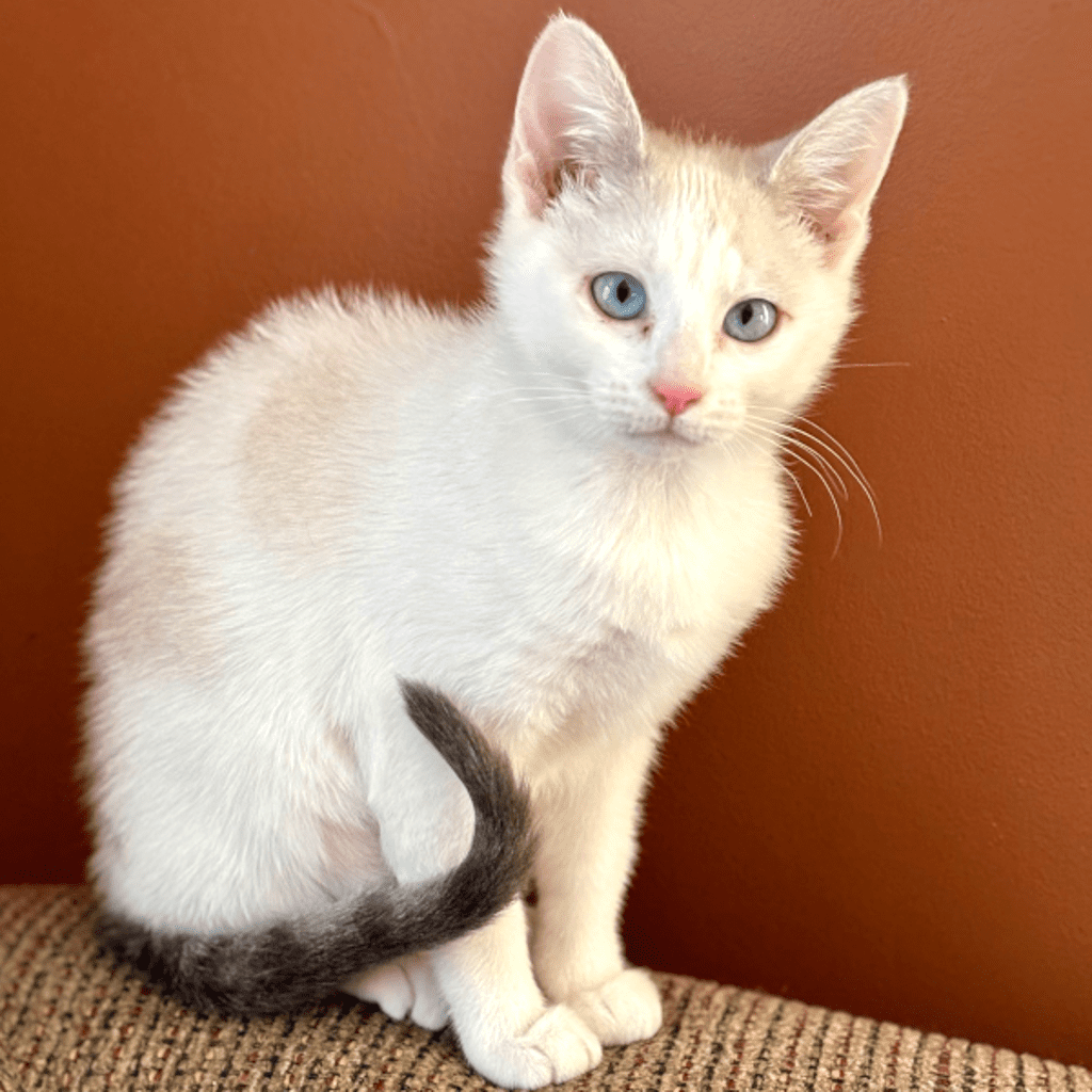 Peppermint -- Bonded Buddy With Yukon Cornelius