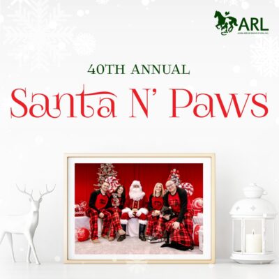 Square_SantaNPaws_2026