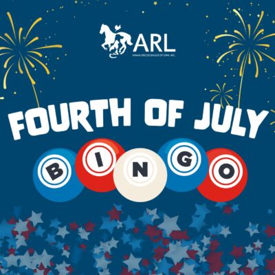 4th of July BINGO