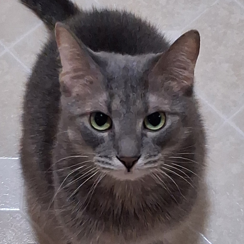 Bobbi -- Bonded Buddies With Jill