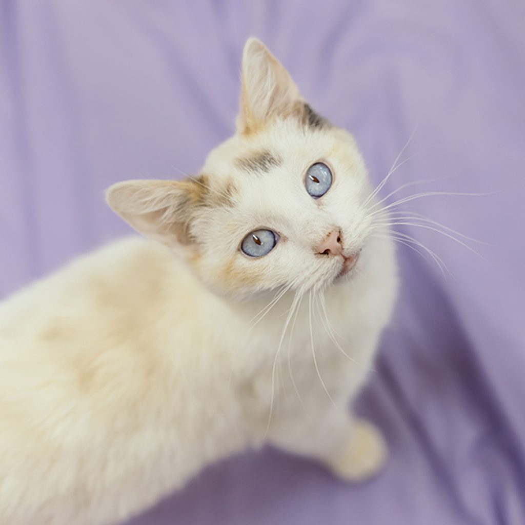 Eden -- Bonded Buddies With Georgia