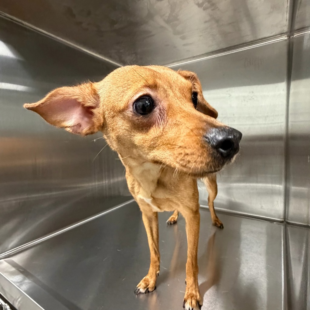 Elliot — Bonded Buddy With Boog