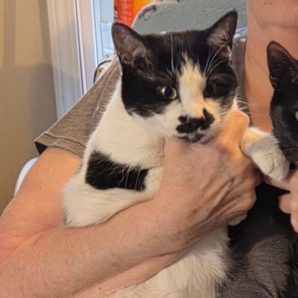 Frankie -- Bonded Buddies With Bat