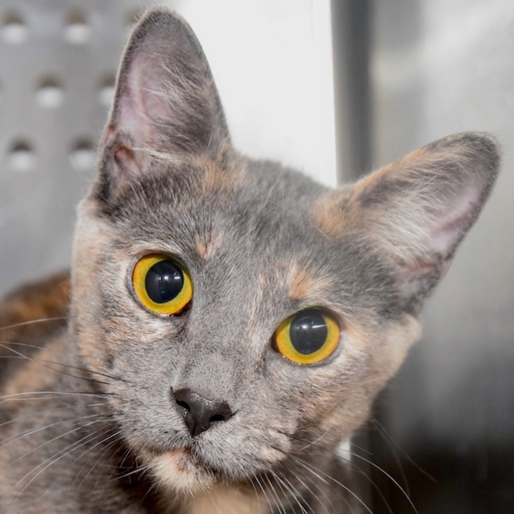 Lorelai - Bonded With Rory