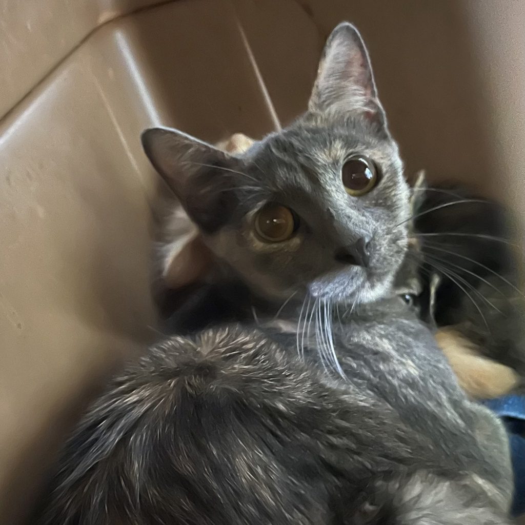 Lorelai - Bonded With Rory