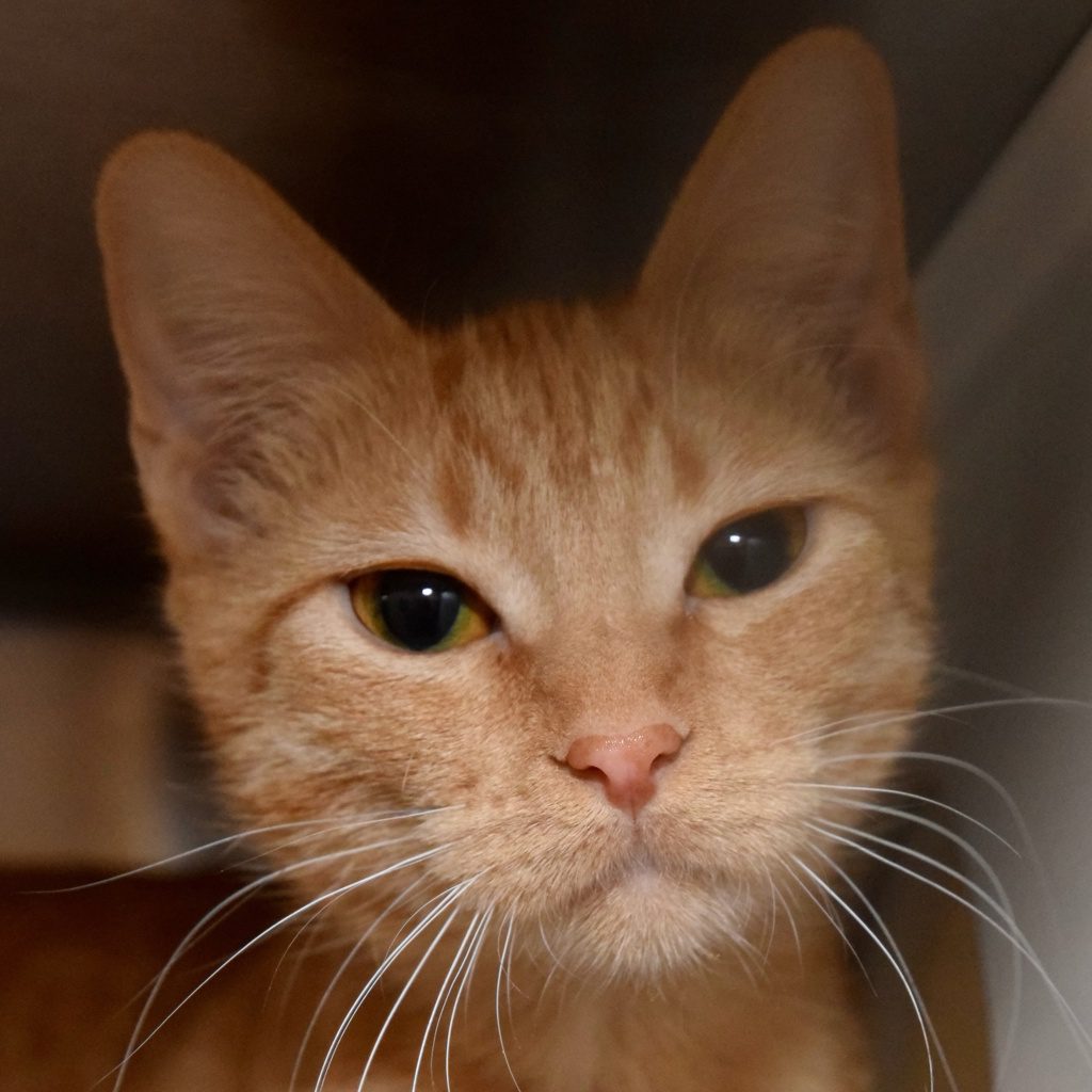 Rory - Bonded With Lorelai