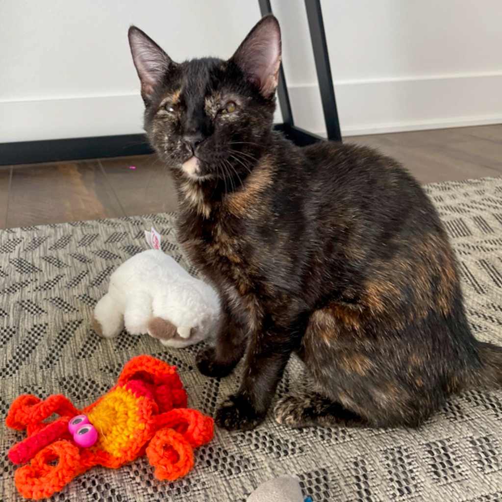 Sofi -- Bonded Buddy With Ben