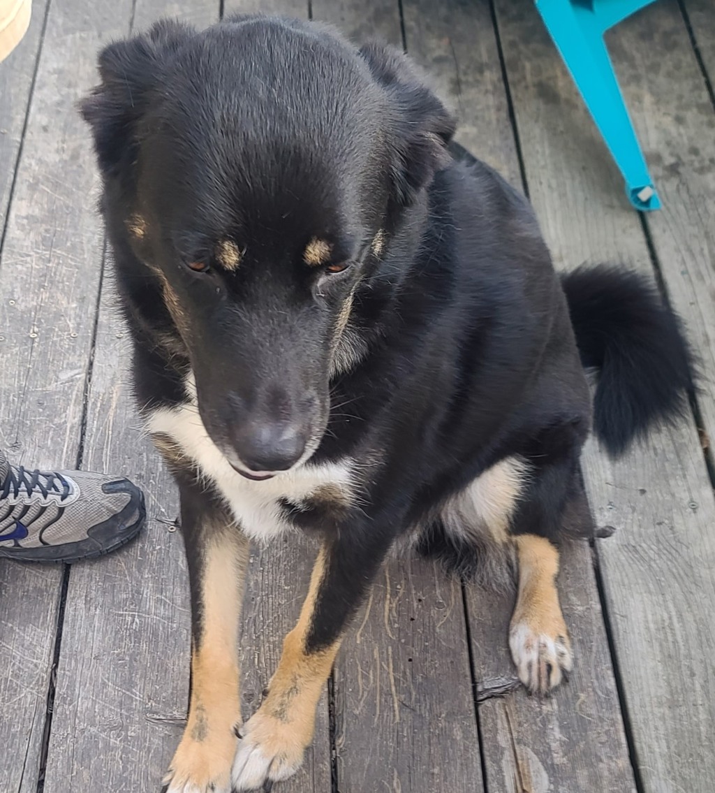 Axel
