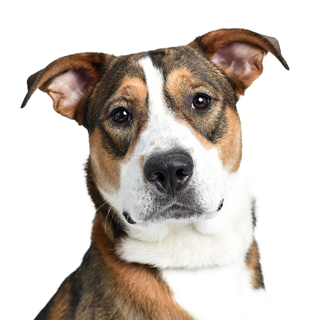 Benito