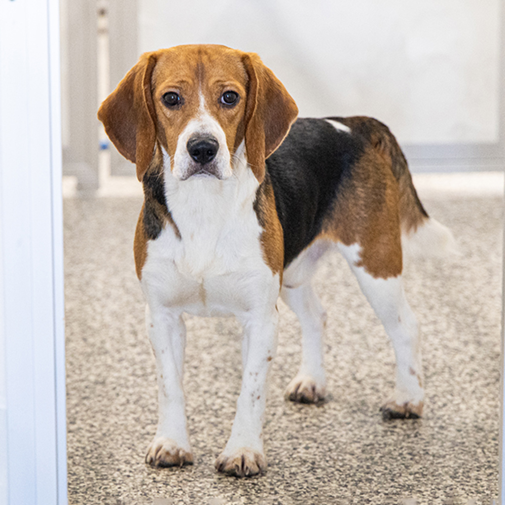 Bingo