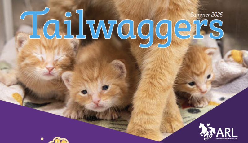Cover - Summer 2026 Tailwaggers_thumb