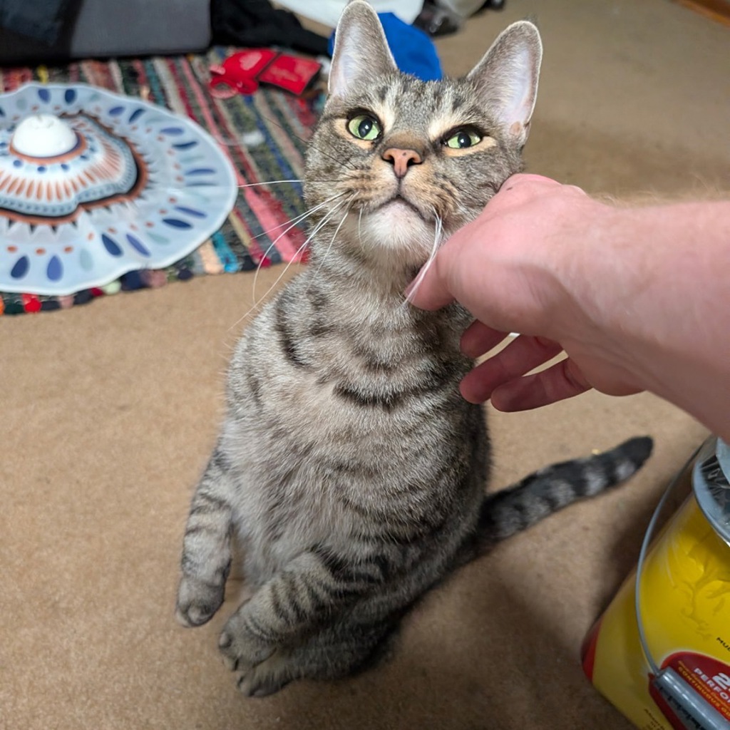 Elliott