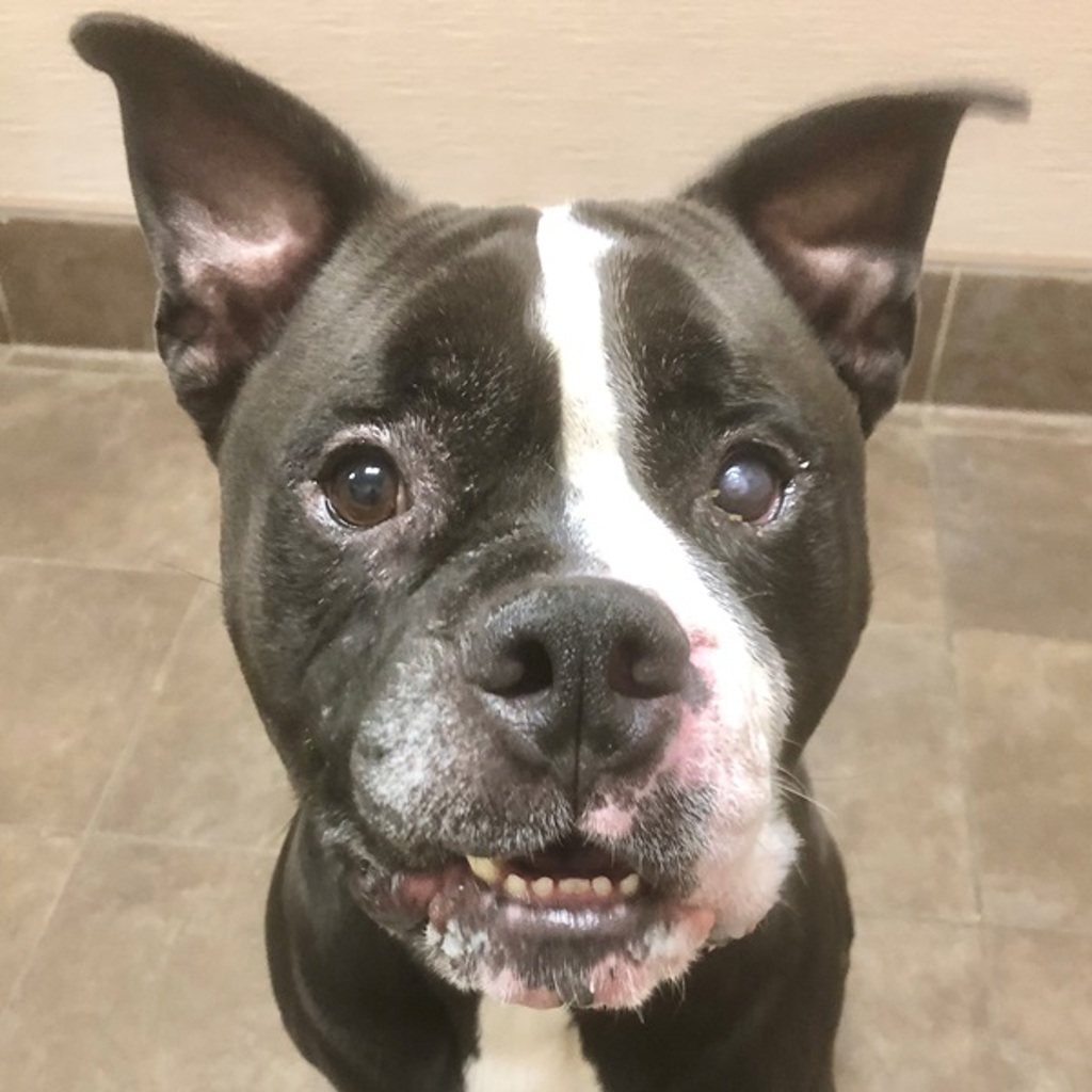 Max