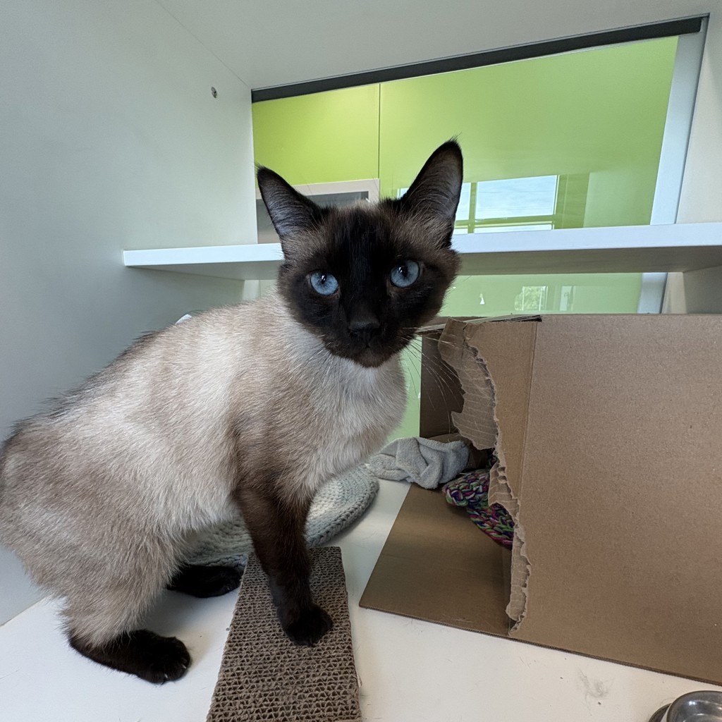 Milo