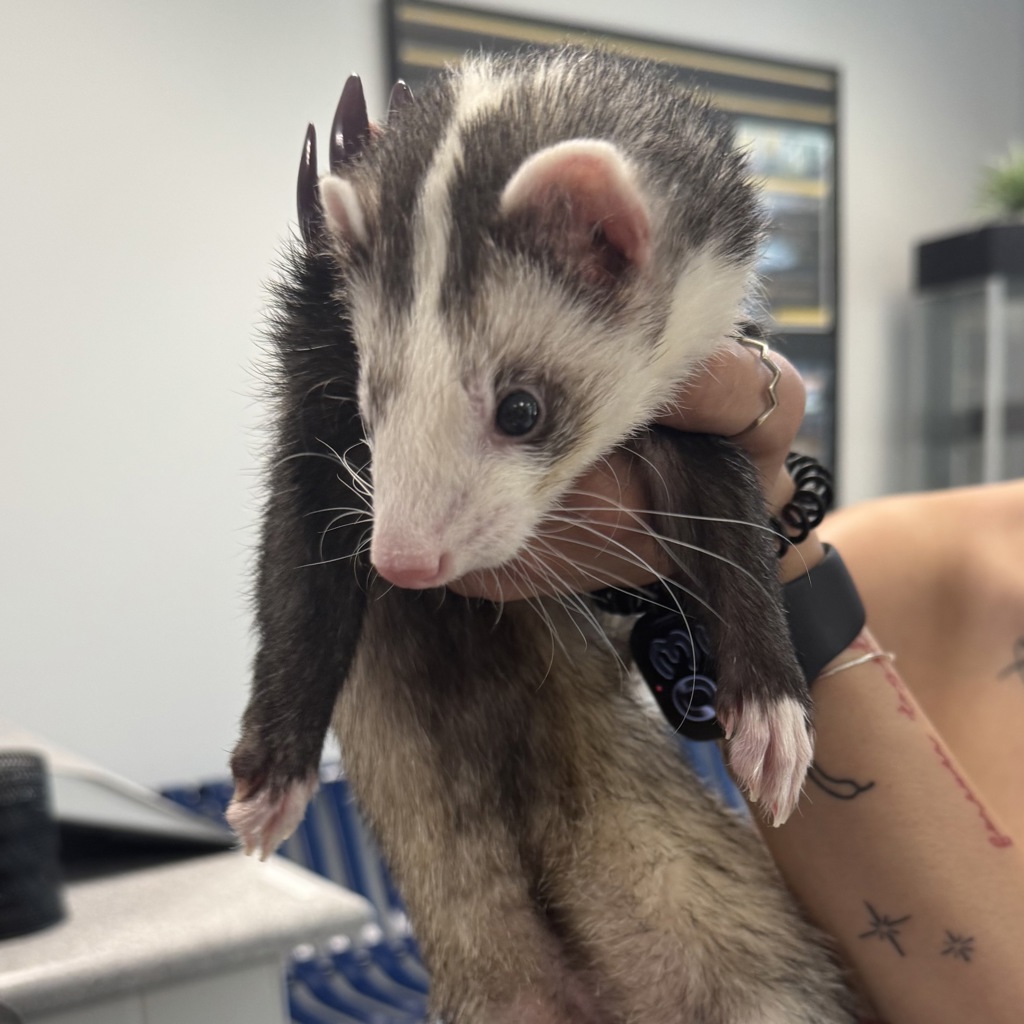 Yazi Onell -- Bonded Buddy With Selena