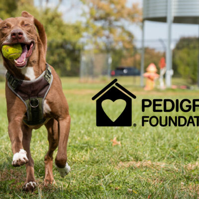 pedigreebranded_eventphoto-01