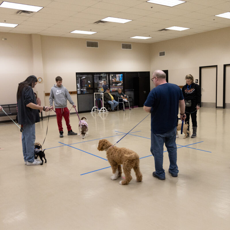 dog training class in blumenthal training center