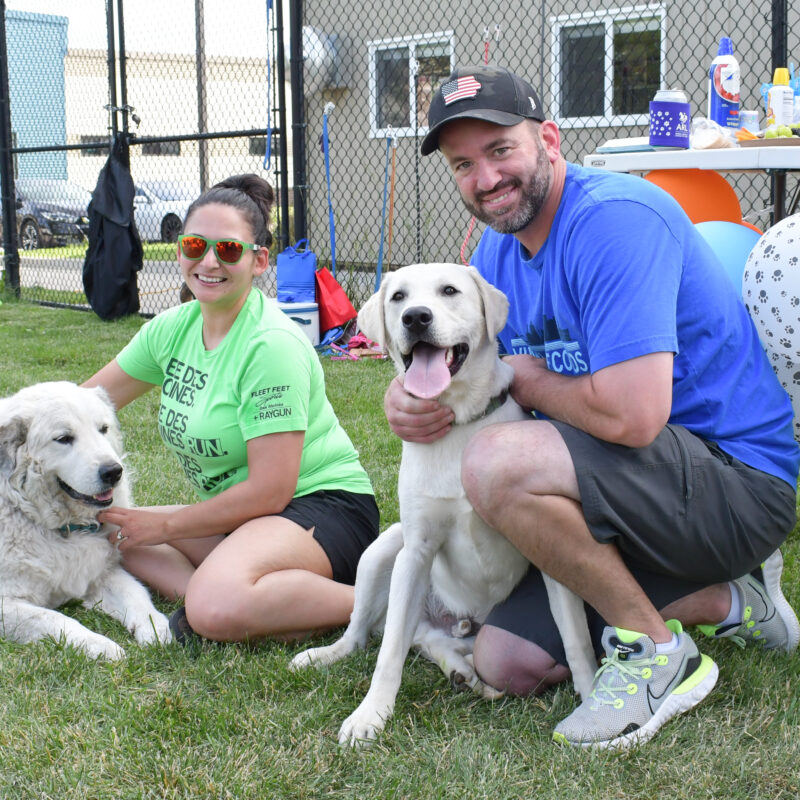 dog party at arl