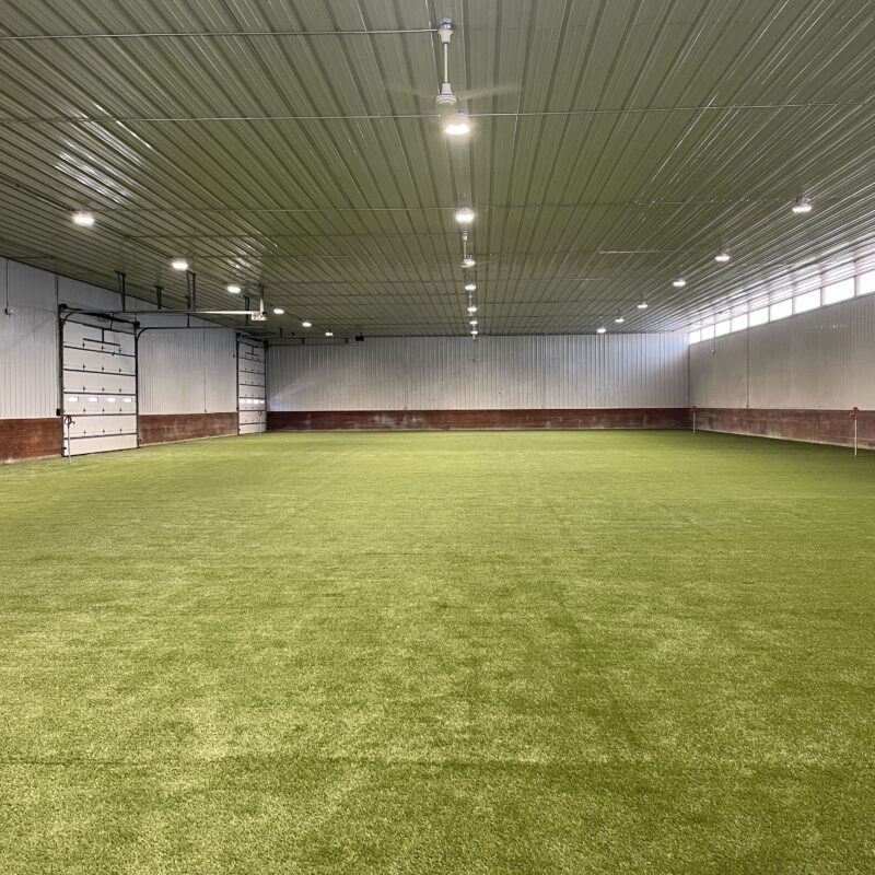 Indoor dog park at ARL