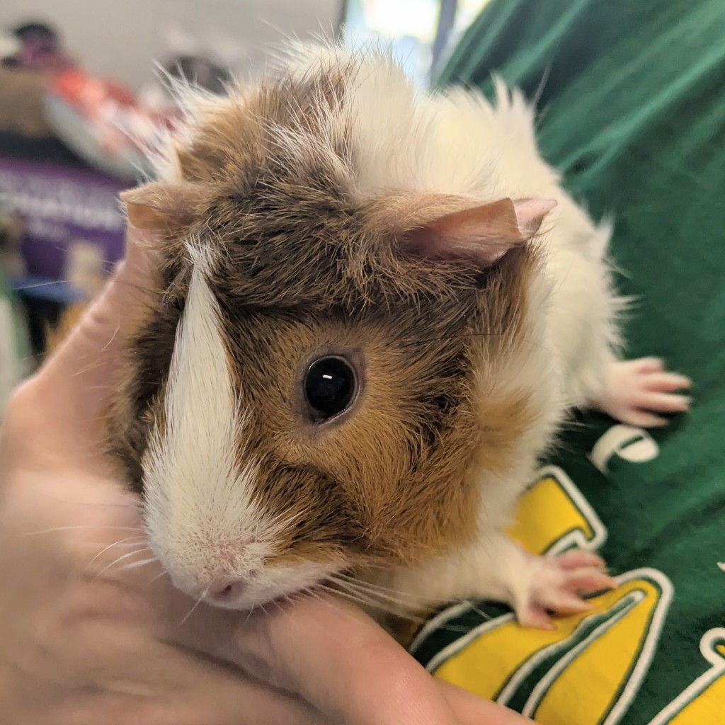 June -- Bonded Buddy With Blueberry