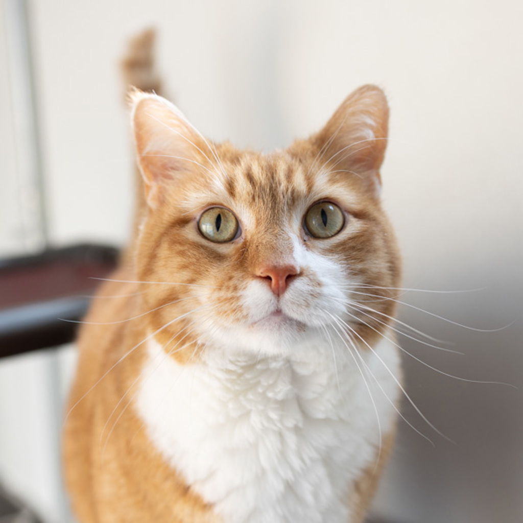 Keenan -- Bonded Buddy With Moe