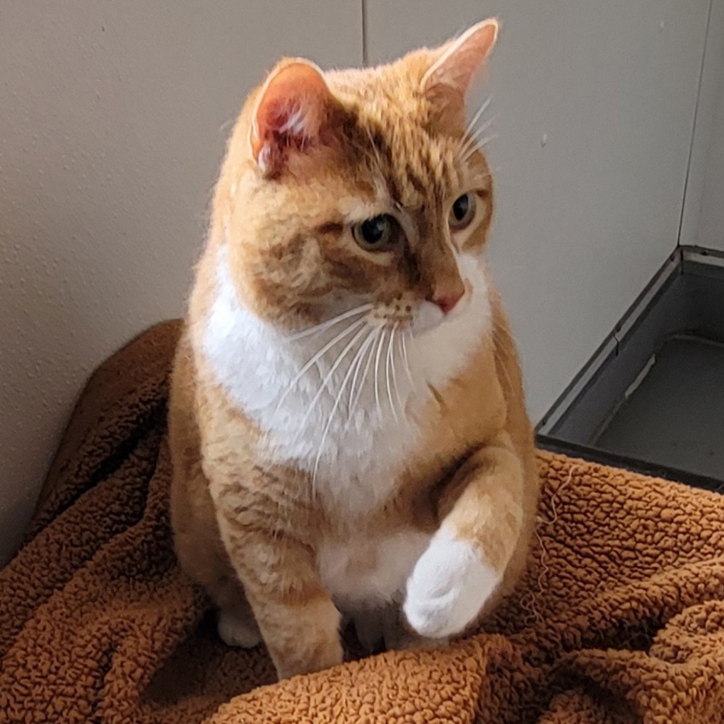 Keenan -- Bonded Buddy With Moe