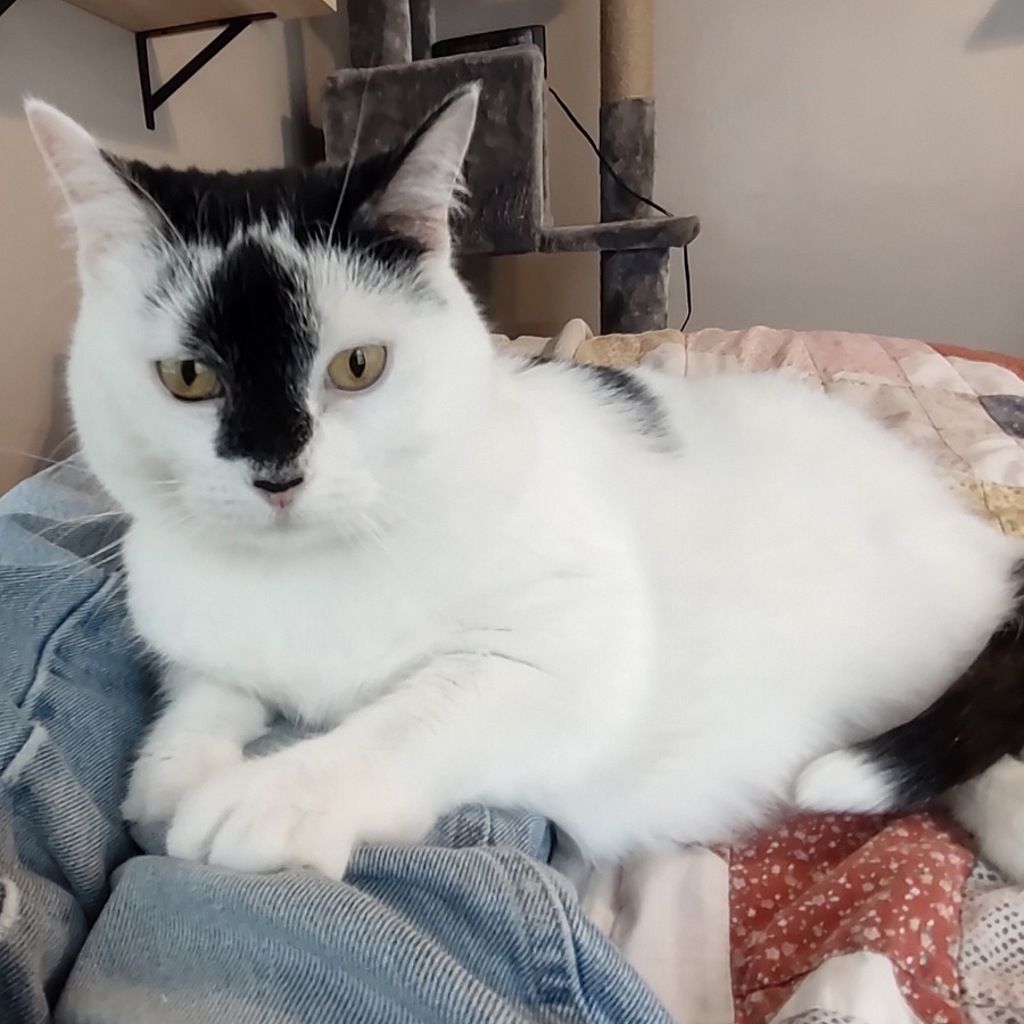 Luna