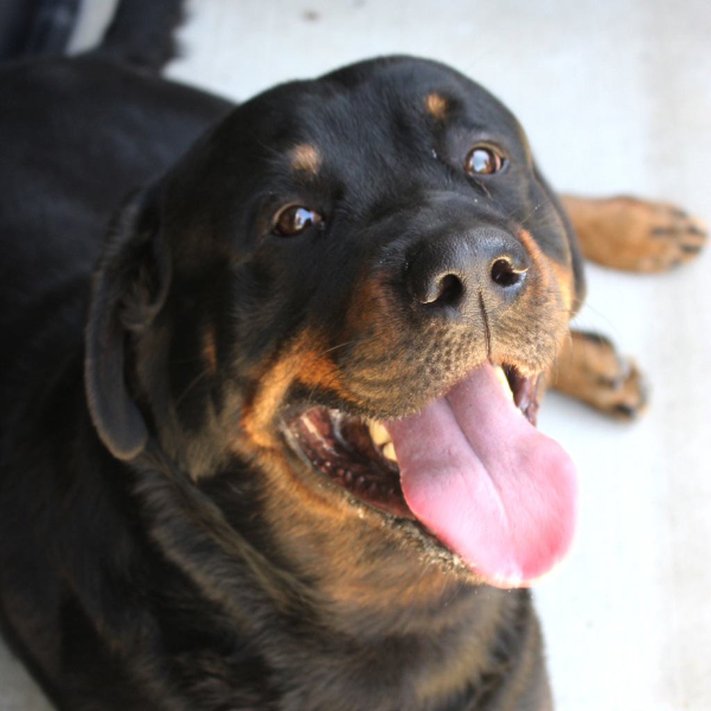 Max