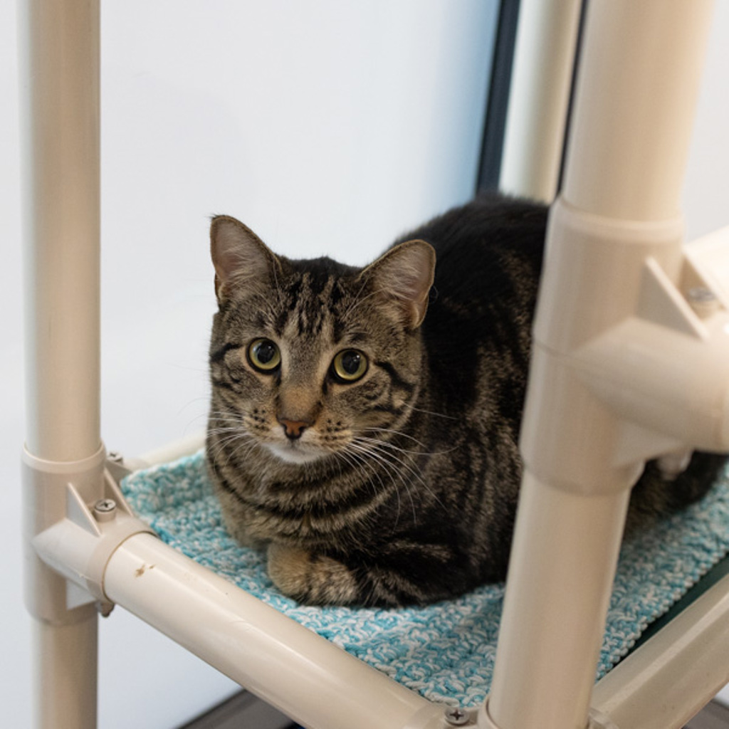 Mimi -- Bonded Buddy With Mickey