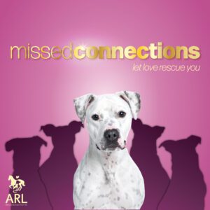 Missed Connections Square Image