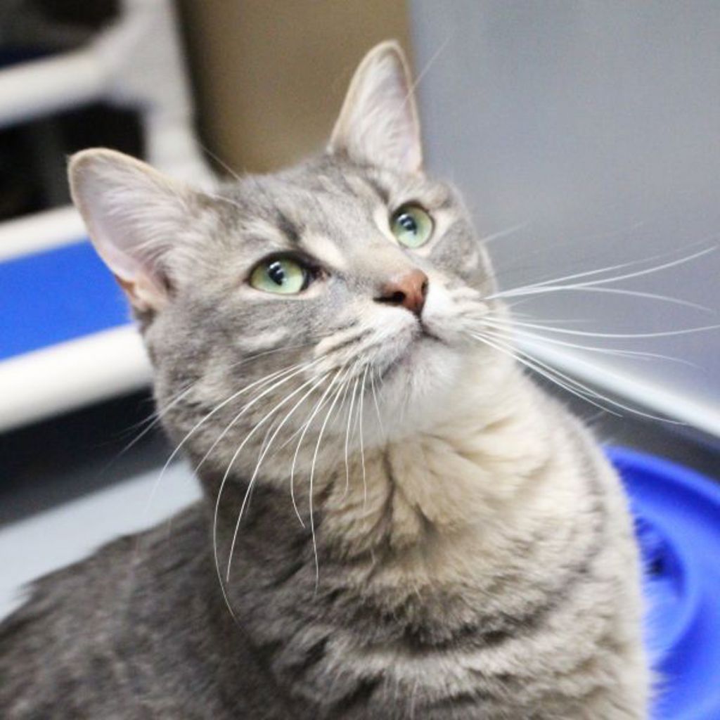 Morpheus -- Bonded Buddy With Miss Girl